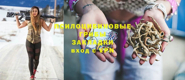 мет Арсеньев