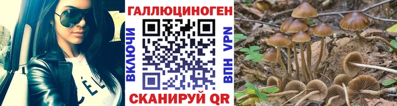 Псилоцибиновые грибы Psilocybe omg как войти Покачи