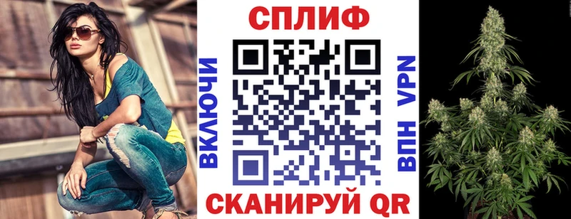Бошки марихуана гибрид hydra зеркало Покачи сколько стоит